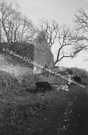 KILCOLMAN ABBEY GABLE